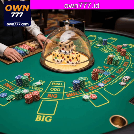 OWN777: Seu Cassino Online Seguro e Rápido
